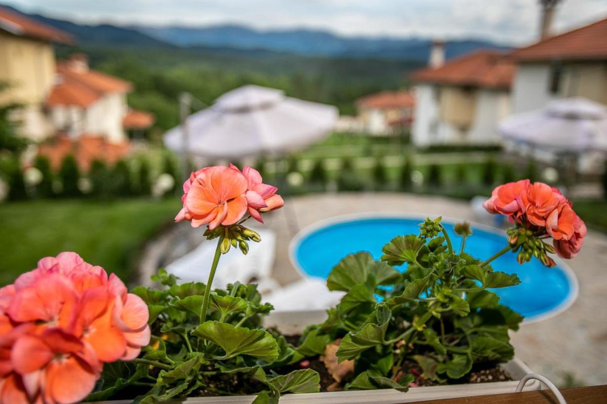 Vila Gardenia Gumoshtnik Экстерьер фото